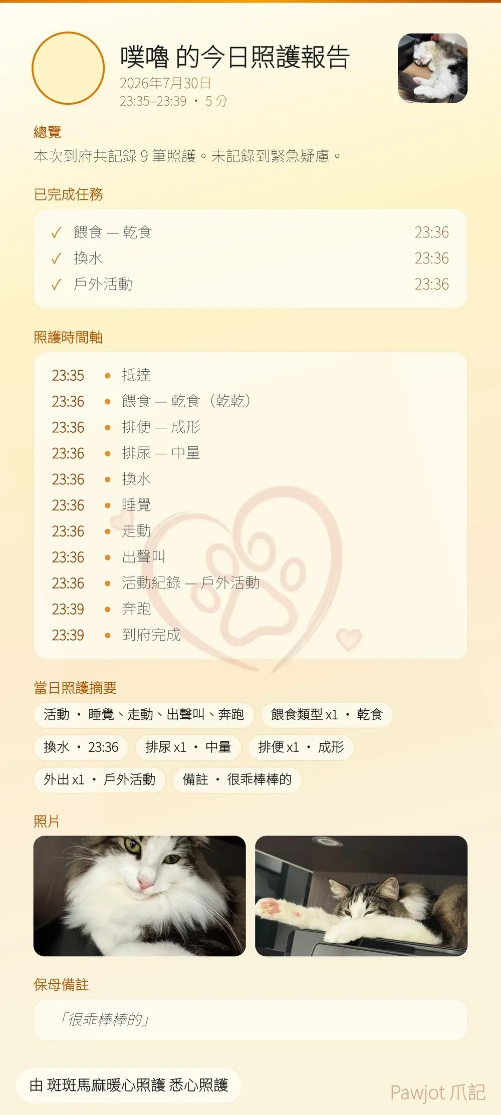 送給飼主的照護報告卡，含時間軸與照片